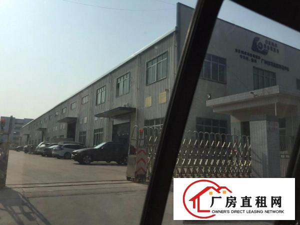 
		全新空置钢结构9000独院单一层出租
	