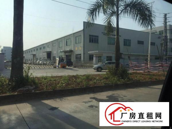 
		全新空置钢结构9000独院单一层出租
	