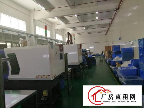 
		横沥镇西城工业区原房东10000平方出租
	