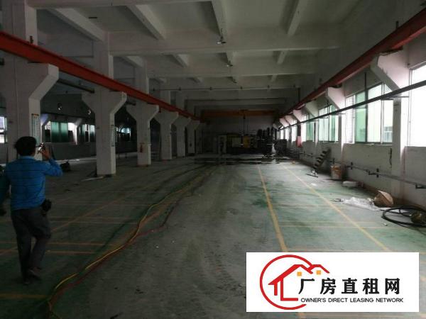 
		横沥镇原房东分租一楼1500平方
	