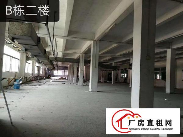 
		横沥新盘招商带消防，环评，形象好，空地大大小可分租
	