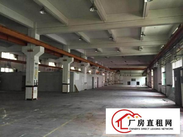 
		镇中心1000一楼标准厂房6米高出租
	