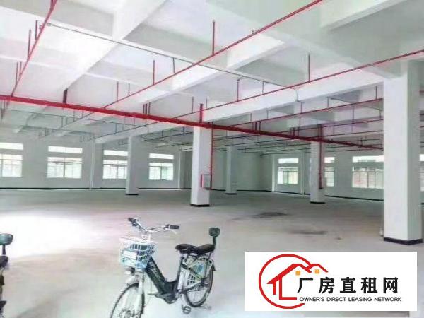 
		汽车站附近5000独院楼房出租
	