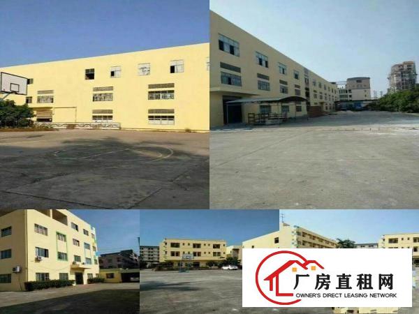 
		空厂房随时可以生产10000标准楼房出租
	