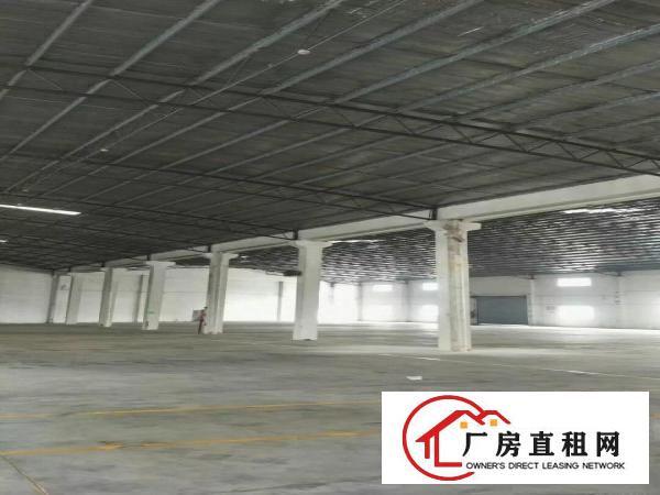 
		振兴路旁1000独院钢构出租
	