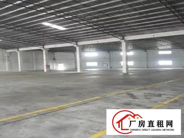 
		振兴路旁1000独院钢构出租
	