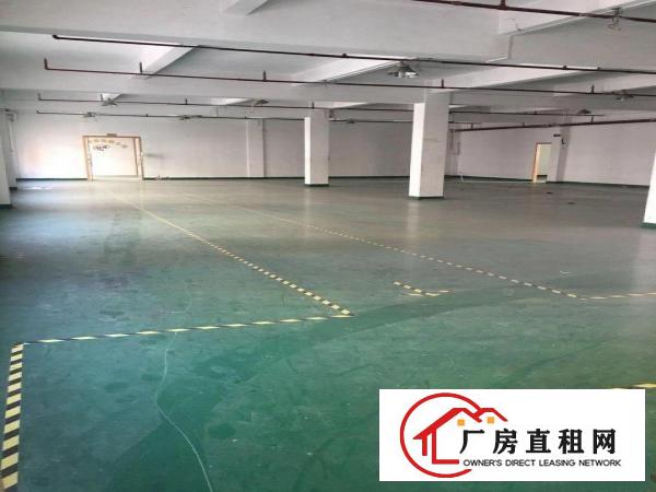 
		新出原房东8000平方厂房
	