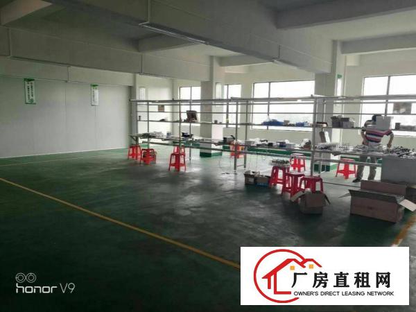 
		横沥镇新出带装修分租二楼1200
	