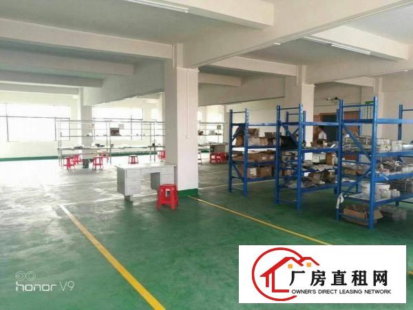 
		横沥镇新出带装修分租二楼1200
	