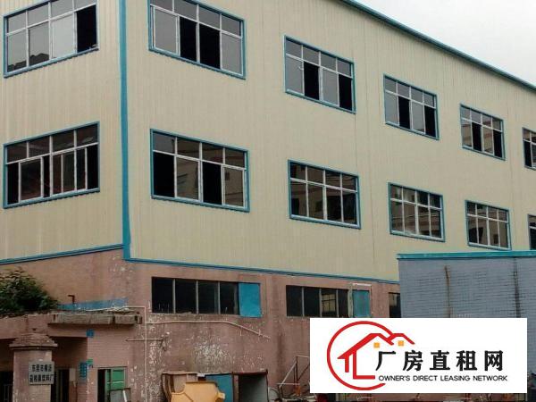 
		横沥镇新建钢构三层3000招租
	