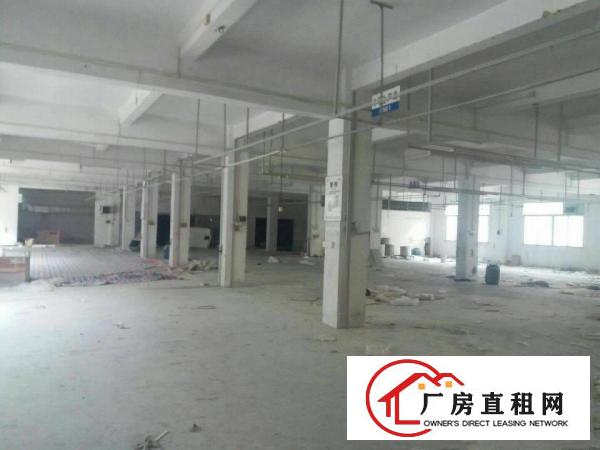 
		横沥镇新出原房东独院厂房招租4500
	