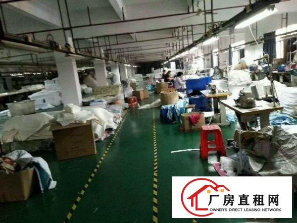 
		横沥新出原房东标准独院厂房5000平米
	