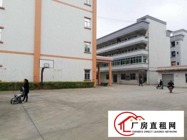 
		自建独门独院厂房出租
	