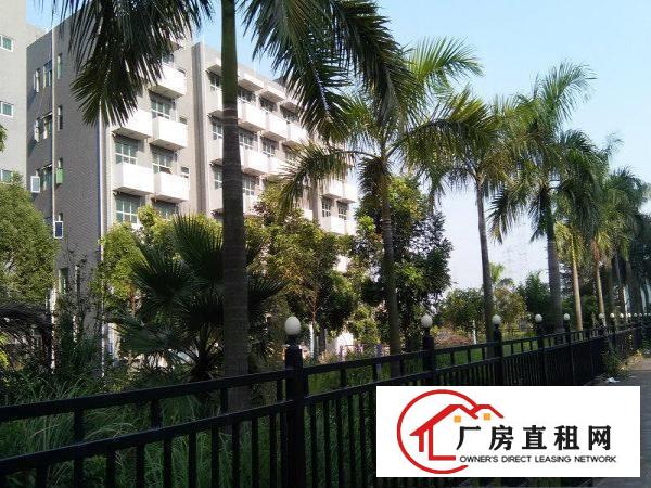 
		东莞横沥镇原房东分租一楼厂房1000平方米
	