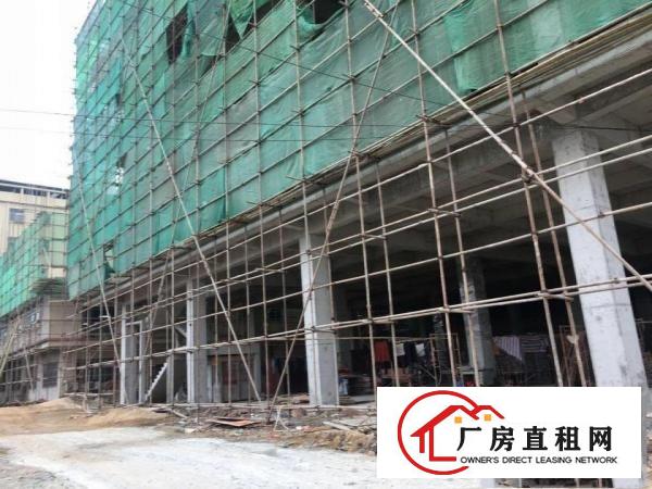 
		原房东！原房东！原房东！只租实业大亨
	