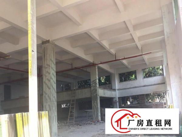 
		原房东！原房东！原房东！只租实业大亨
	