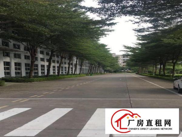 
		原房东！原房东！原房东！只租实业大亨
	