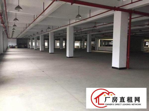 
		横沥原房东明包独院厂房明包8500平方出租现成环评
	