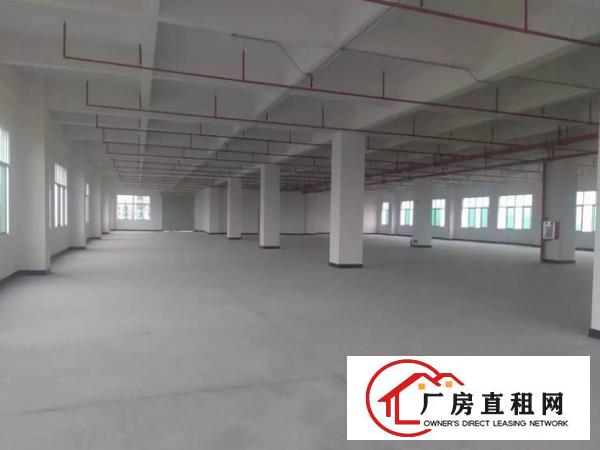 
		横沥水边标准独院厂房3800平水电齐全招工易形象好
	