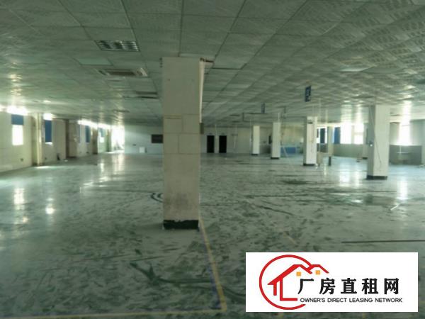 
		横沥独院三层厂房5000平米，宿舍按需配
	