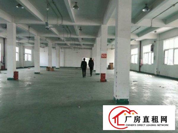 
		东坑塔岗一楼1200平米临近主干道标准厂房层高6米带卸货平台
	