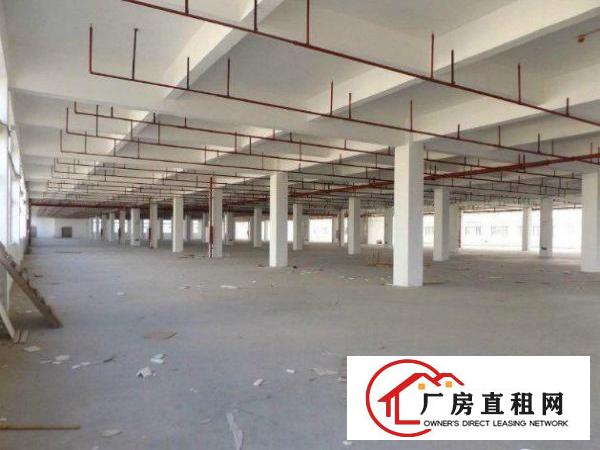 
		东坑楼上标准厂房1800平原房东招租
	