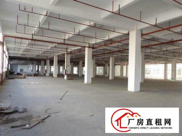 
		东坑楼上标准厂房1800平原房东招租
	