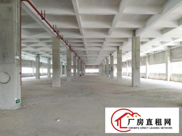 
		东坑角社标准厂房一楼1100平
	