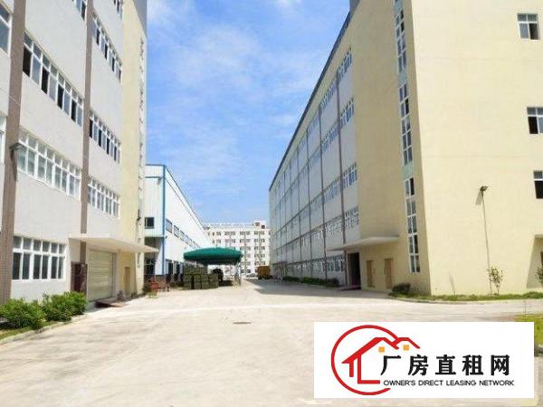 
		东坑角社标准厂房一楼1100平
	