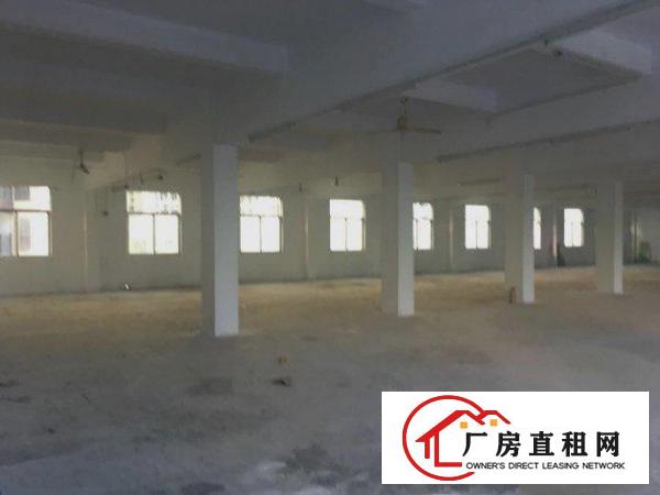 
		东坑塔岗新出二楼1000平厂房
	