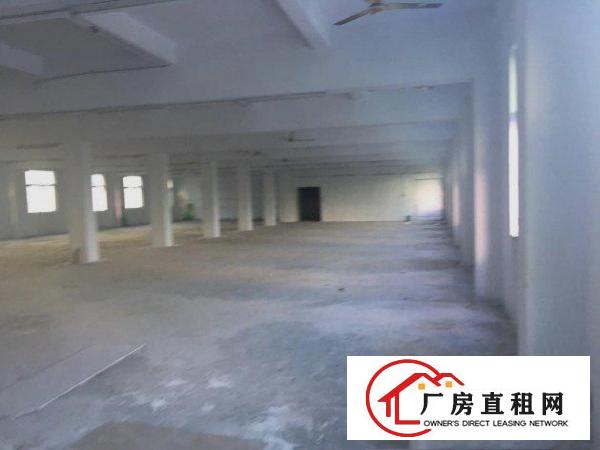 
		东坑塔岗新出二楼1000平厂房
	