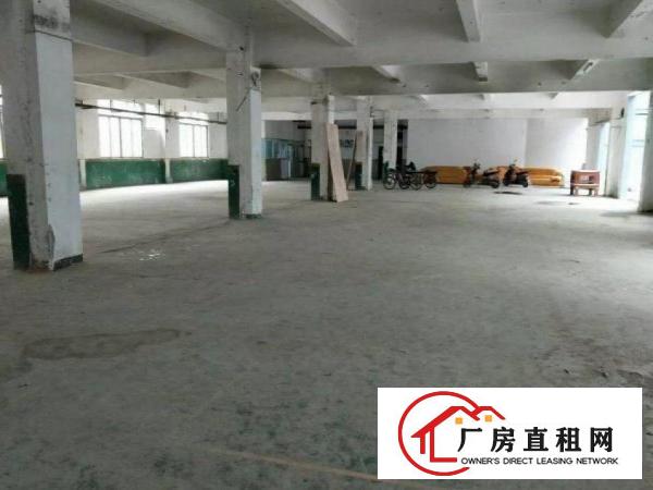 
		塔岗一楼800平米厂房出租，水电齐全
	