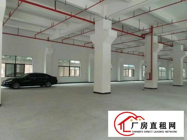 
		东坑路口新出独院一楼1600平可分租空地大16块
	