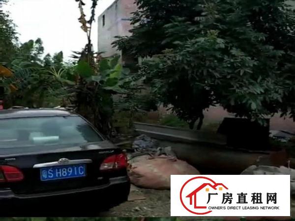 
		东坑角社现空出（全能）厂房，合适多种行业
	