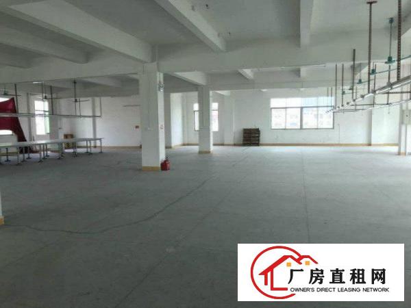 
		东坑原房东新建民房1800平方出租
	