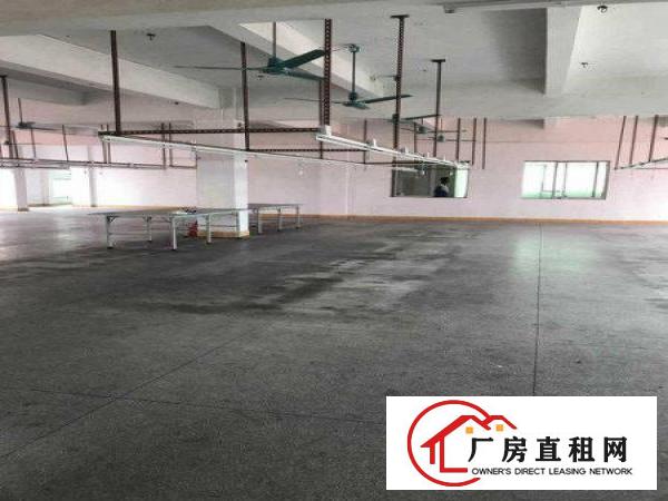 
		东坑镇带装修民房式厂房900平方出租
	