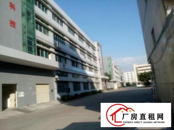 
		东坑镇维智科技园新出楼上3500平方豪华装修免转
	