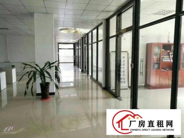 
		东坑镇维智科技园新出楼上3500平方豪华装修免转
	