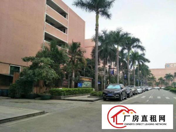 
		豪华装修办公）东坑镇花园式工业园新出楼上1900平
	