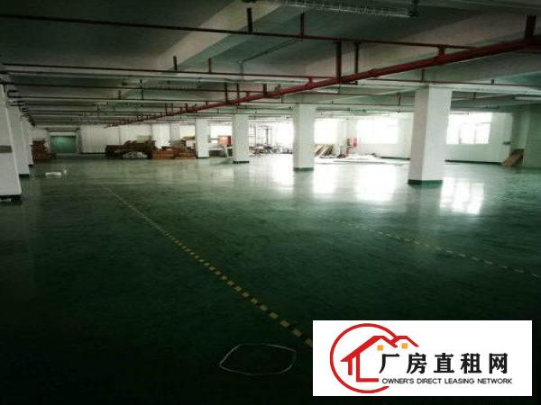
		豪华装修办公）东坑镇花园式工业园新出楼上1900平
	