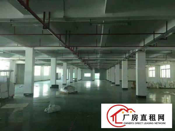 
		豪华装修办公）东坑镇花园式工业园新出楼上1900平
	