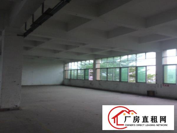 
		桥头东江三楼1200平方厂房出租水电齐全带装修
	
