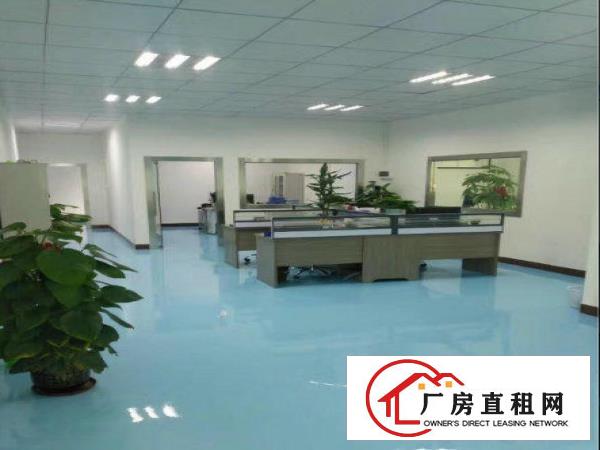 
		桥头石水口新出楼上带装修整层厂房1500平米
	