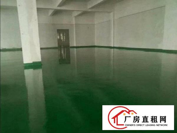 
		桥头禾坑标准3楼1500,全新地坪漆,带两部电梯
	
