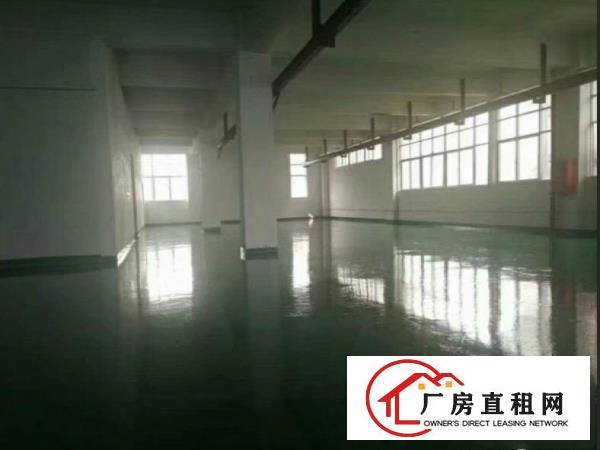 
		桥头禾坑标准3楼1500,全新地坪漆,带两部电梯
	