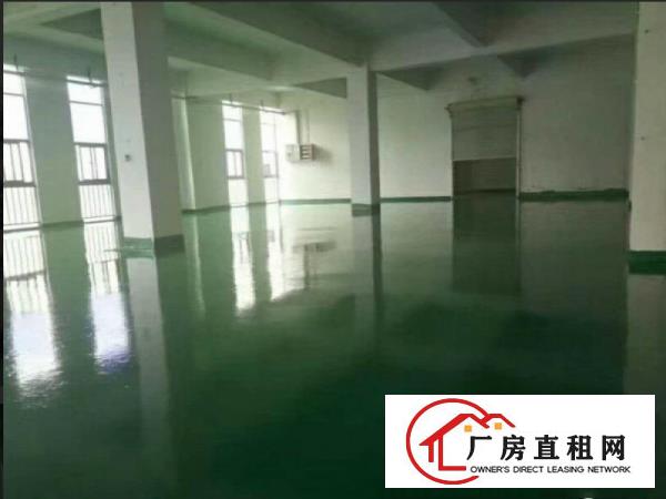
		桥头禾坑标准3楼1500,全新地坪漆,带两部电梯
	