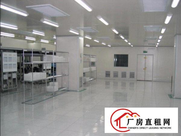 
		原房东出租东莞市桥头镇独门独院精装标准厂房
	