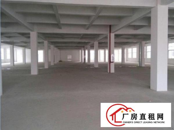 
		东莞桥头厂房3200㎡标准厂房出租地段好
	