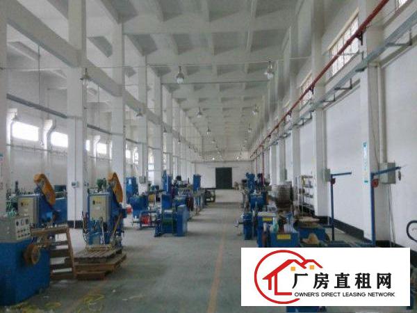 
		东莞桥头新出3900㎡单一层厂房出租——经济实惠
	
