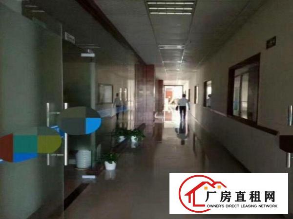
		桥头莲城新出楼上带装厂房1500平，水电齐全
	